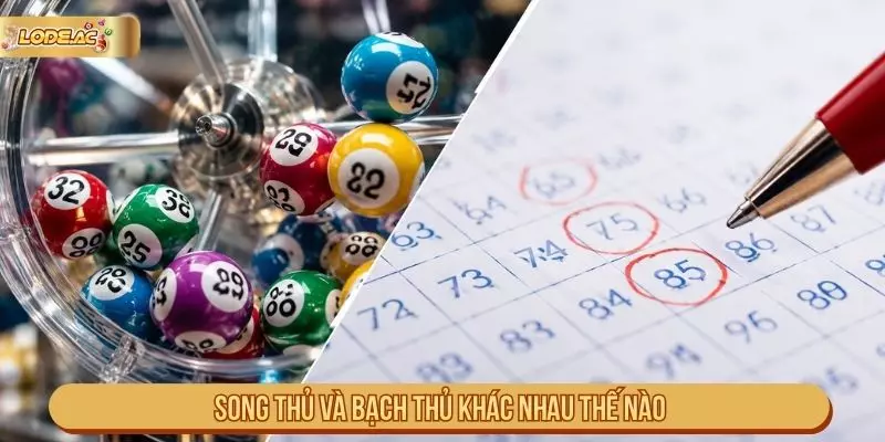 Song thủ và bạch thủ khác nhau thế nào